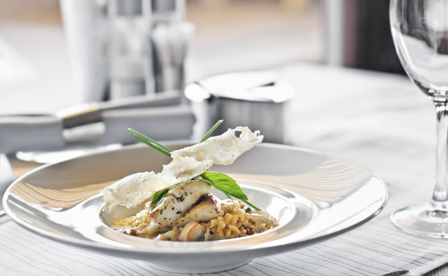 Food in restaurant on the table, appetizing